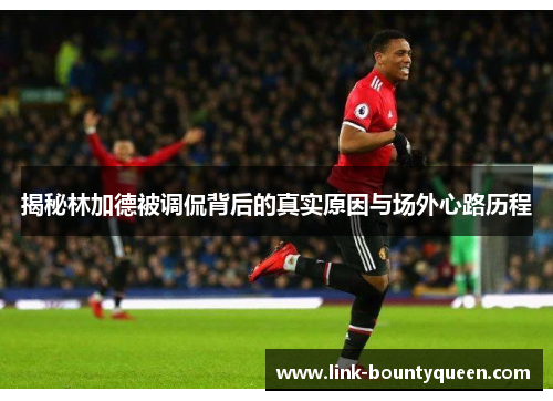 揭秘林加德被调侃背后的真实原因与场外心路历程
